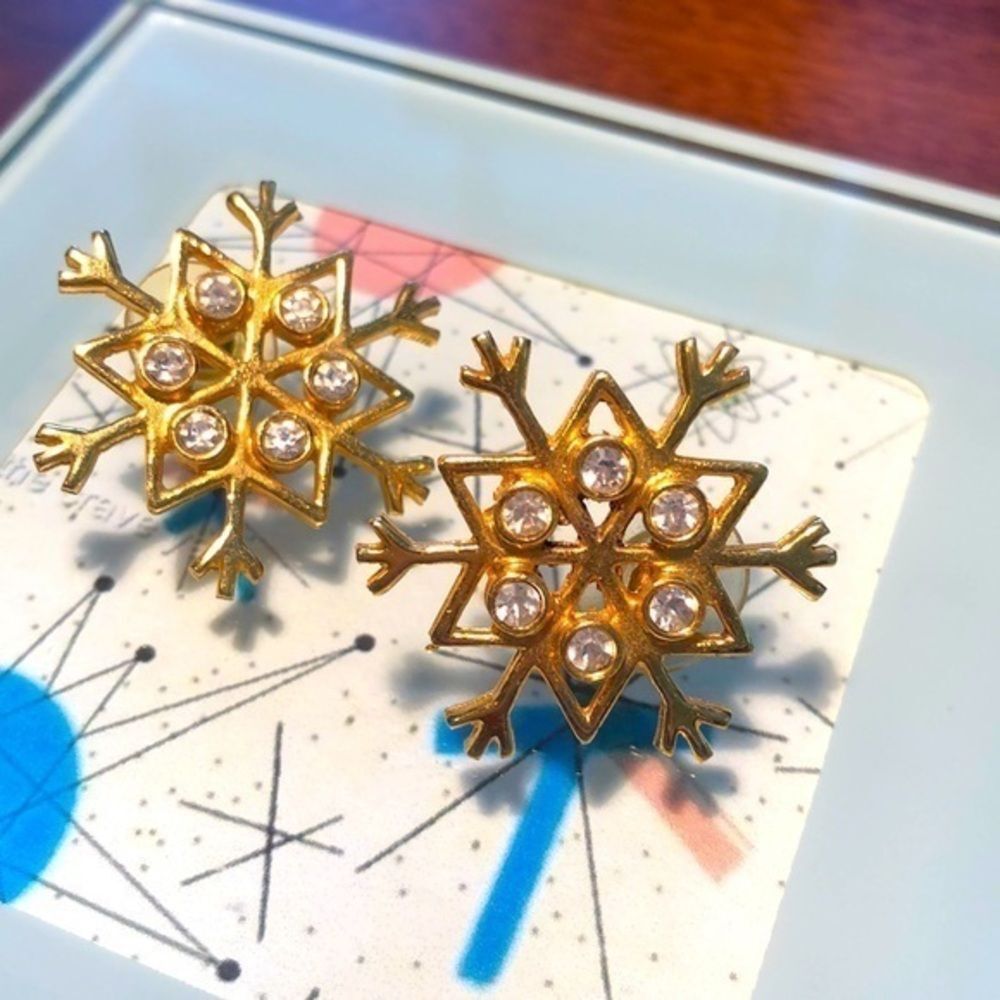 Snow Flake Earrings